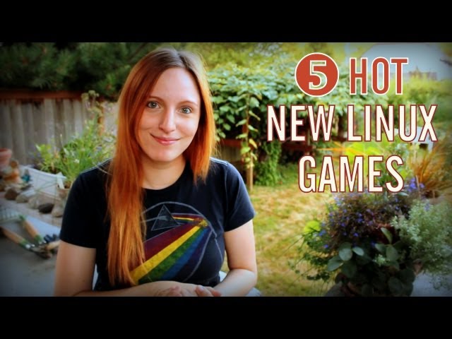 Top 5 Linux Games