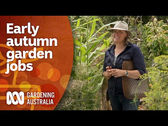 Gardening jobs to do in early autumn | Garden Inspiration | Gardening Australia