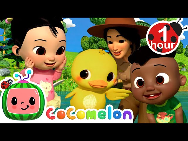 Cody & Cece Take a Nature Walk Song + Muffin Man Song + More | CoComelon - It's Cody Time