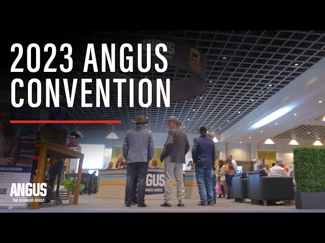 2023 Angus Convention