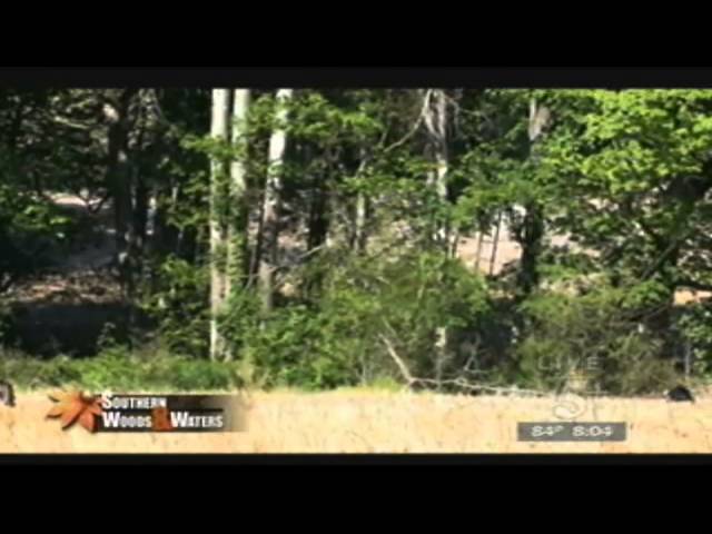 Southern Woods & Waters: Turkey Hunting