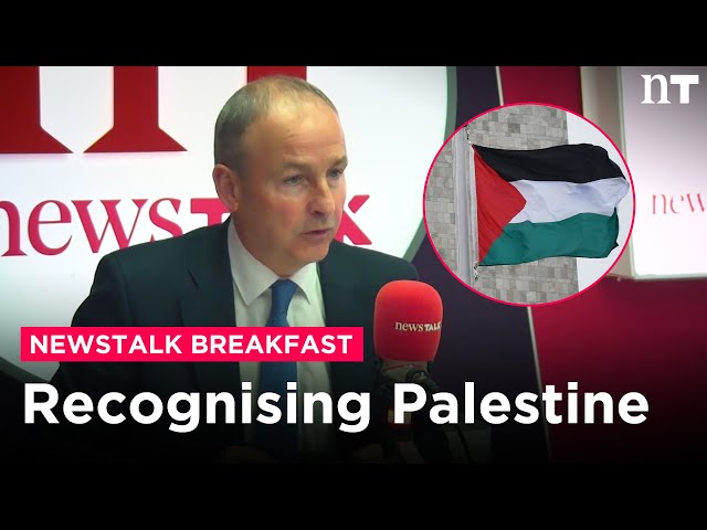 Ireland will recognise Palestine by end of May - Martin