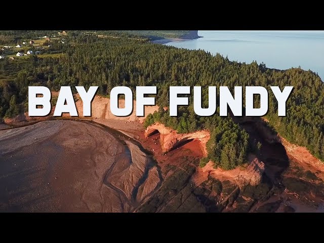 Bay of Fundy | High Tides and Adventure | Canada Travel Vlog  | The Planet D