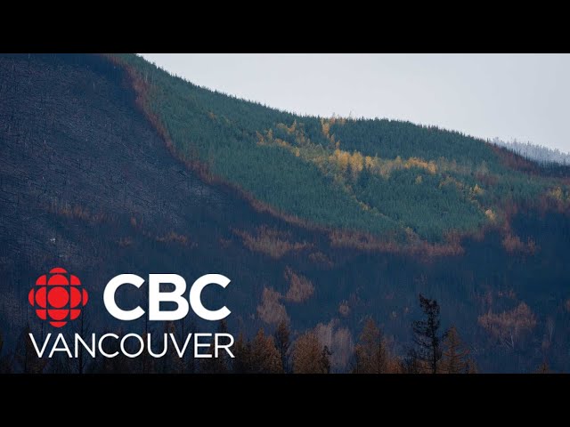 Nahatlatch Valley residents say they felt they were left stranded during wildfire season