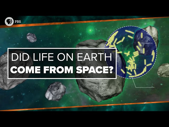 Did Life on Earth Come from Space?