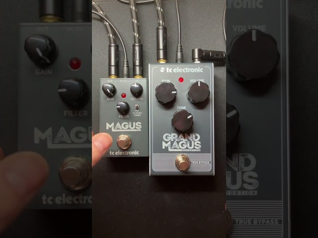 LEAD guitar. TC Electronic MAGUS Pro vs GRAND MAGUS into a Marshall 1987x #tcelectronic #distortion