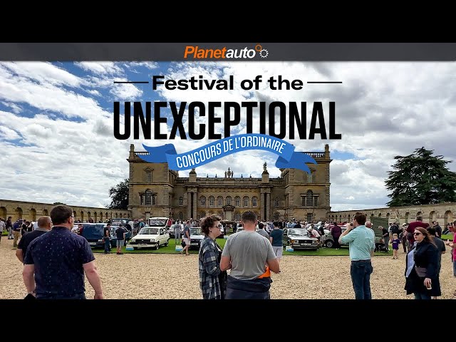 Festival of the Unexceptional 2023 | Concours de L’Ordinaire with an exceptional chat