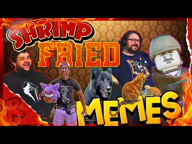 Are you telling me a shrimp fried these memes? - @Furno472 | RENEGADES REACT