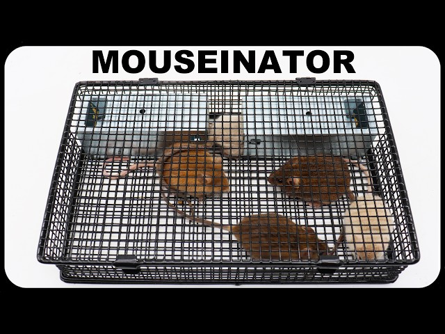 Catch 25 Mice With The MOUSEINATOR Mouse Trap. Amazing New Mouse Trap. Mousetrap Monday