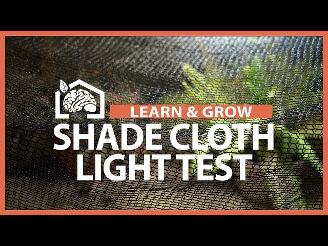Shade Cloth Light Test - Learn & Grow