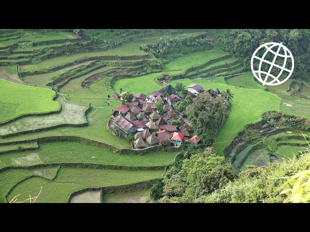 Rice Terraces of the Philippine Cordilleras: Batad, Bangaan and Banaue  [Amazing Places 4K]