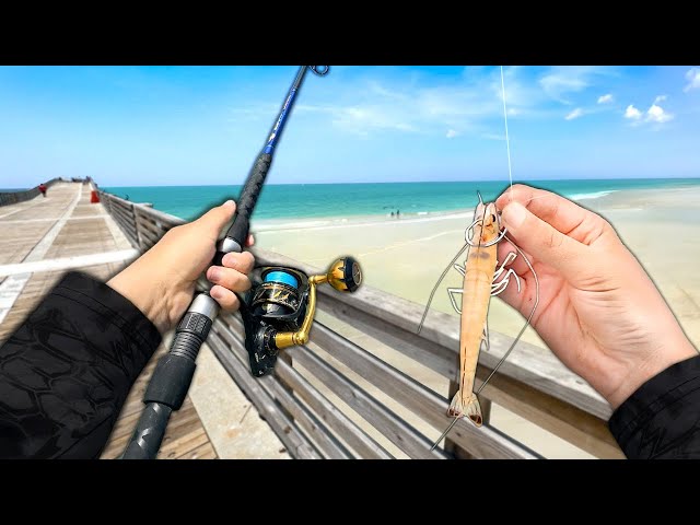 Fishing the PIER! Eating Whatever I Catch.. (Catch and Cook)