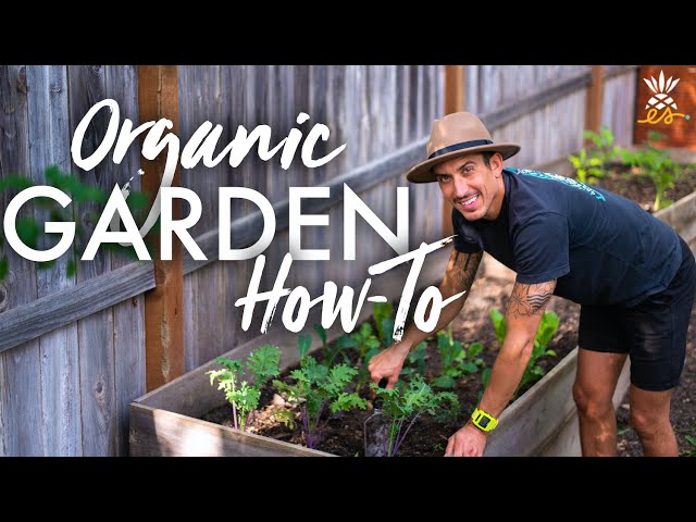 How To Grow Your Own Organic Garden | Seeds, Soil, Sprouting & More!