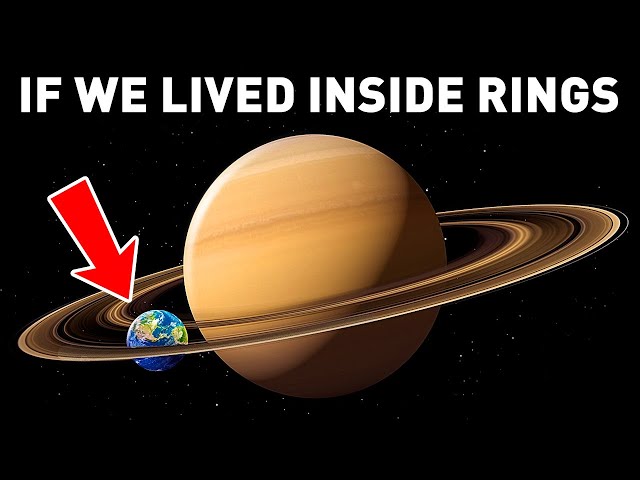 Life in Saturn's Rings: Science-Fiction or Incredible Reality?