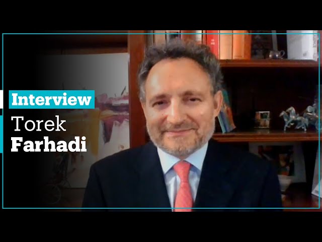 Coronavirus Pandemic and WHO: Torek Farhadi, Former International Monetary Fund Adviser