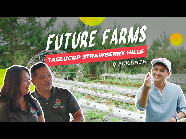 Future Farms: Bukidnon | Taglucop Strawberry Hills