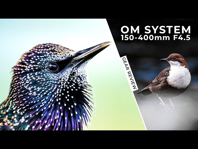 Review of the OM System 150-400mm f/4.5 | Gear Review | Hands-On Field Test