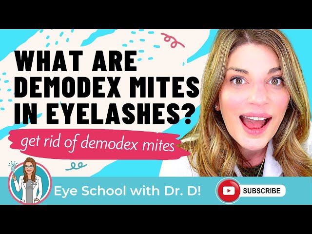 What Are Demodex Mites in Eyelashes? Are Mites In Your Eyelashes? | Demodex Really Grows On You!