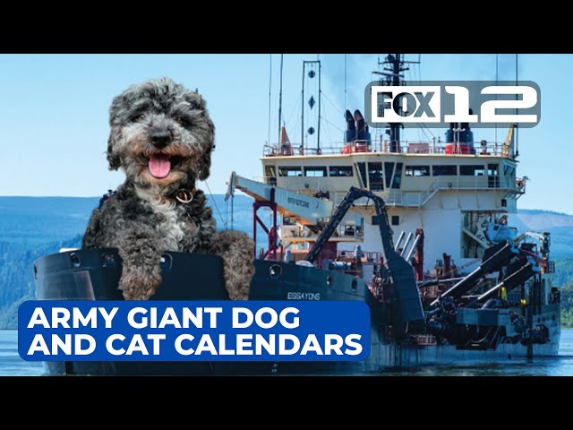 LIVE: How the Army Corps of Engineers creates their viral giant dog and cat calendars