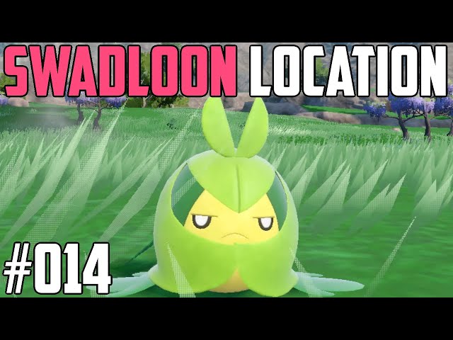 How to Catch Swadloon - Pokémon Scarlet & Violet (DLC)