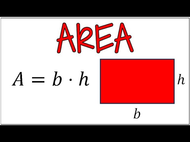 How to Find the Area of a Rectangle | 3 Examples