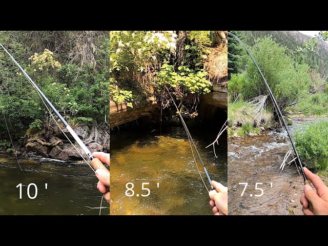 I'll show you WHY you need these 3 Fly Rods!  (7.5ft / 8.5ft / 10ft)