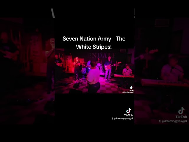 The White Stripes - Seven Nation Army Cover