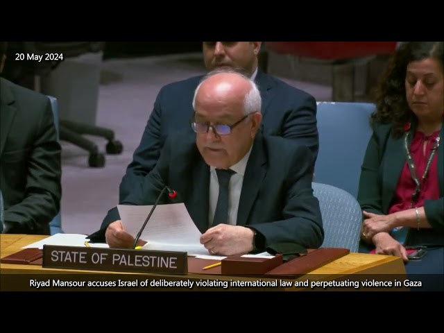 Riyad Mansour demands immediate international action to end humanitarian crisis in Gaza