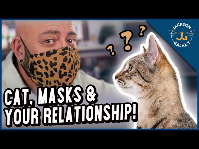 How your mask-wearing affects cats!