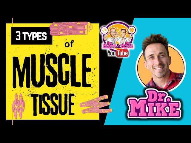 Muscle Tissue | Skeletal, Cardiac, and Smooth
