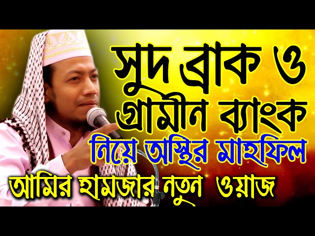 সুদ ব্রাক ও গ্রামিন ব্যাংক নিয়ে মহিলদের একি বললেন আমির হামজা Bangla Waz Amir Hamza Waz 2020 waz tv