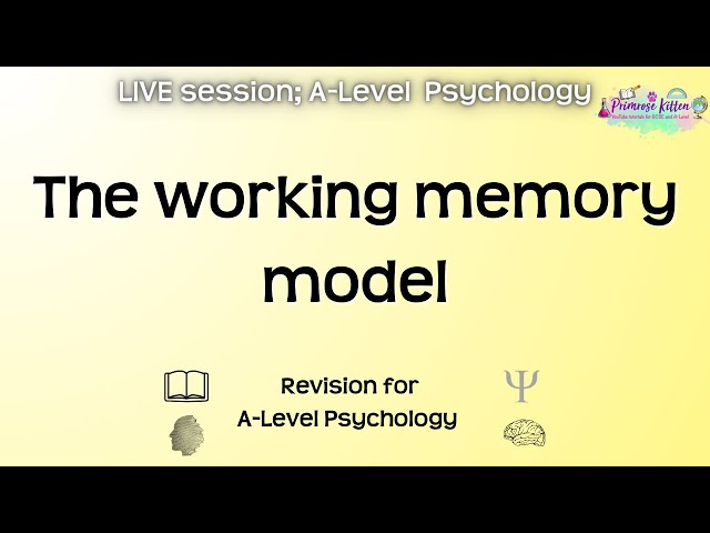 The working memory model - A-Level AQA Psychology | Live Revision Session