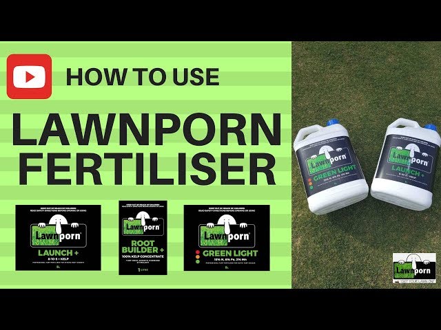 How to use Lawnporn Fertiliser