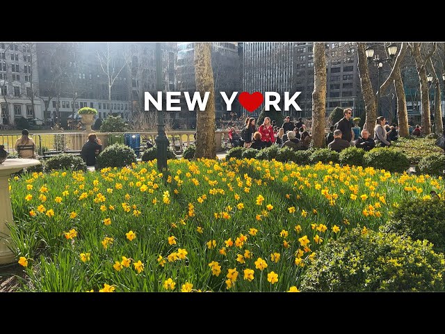 [4K] New York City🗽🚕 Walking around Midtown Manhattan on a Beautiful Sunny Day⛲🌷🌞 Mar. 29 2023