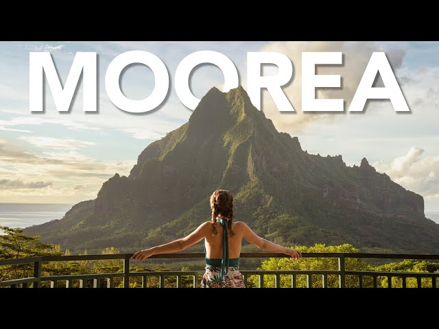 SCOOTERING AROUND MOOREA | French Polynesia Honeymoon Day 3