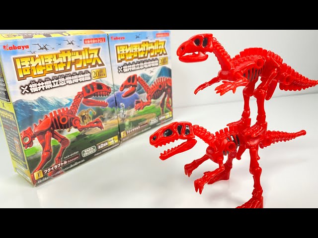 Honehone saurus Fukui Prefectural Dinosaur Museum 20th Anniversary Limited Edition "unboxing" Figure