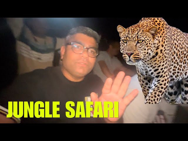 LEOPARD Sighting 🐯🐯in Kumbhalgarh Forest | Night Safari