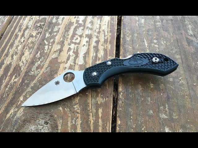 The Spyderco Dragonfly ZDP-189 Pocketknife: The Full Nick Shabazz Review