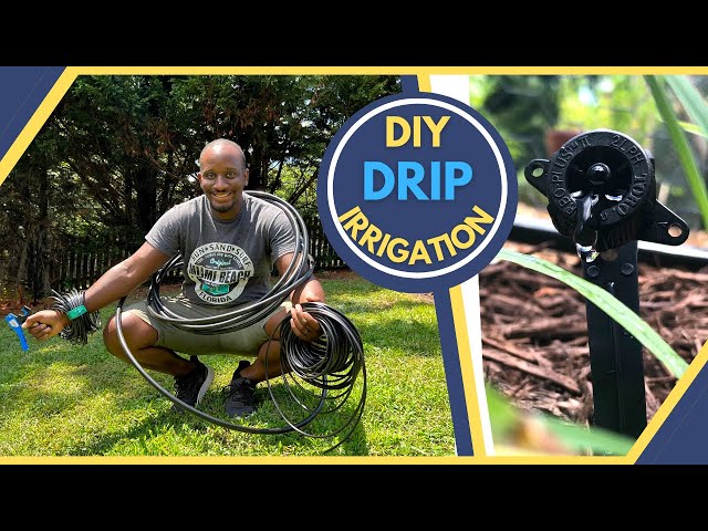 DIY Drip Irrigation System | Easy, economical and effective