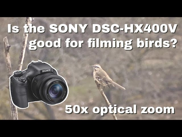 Is the SONY DSC-HX400V good for filming birds? | 50x OPTICAL ZOOM TEST - CAMERA REVIEW - BIRDING