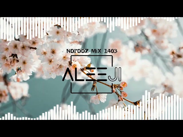 DJ Aleeji- Norooz Mix 1403 بهترین میکس آهنگ های جدید،شاد و پارتی |Club Mix 2024