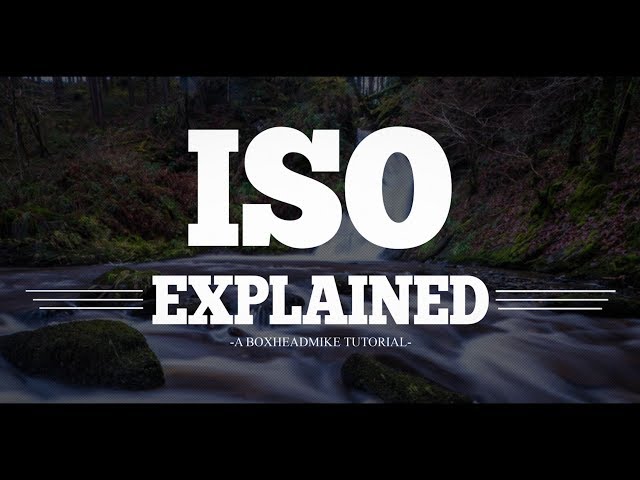 ISO (Photography) Explained