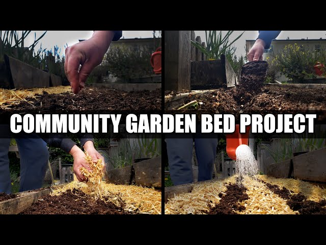 Worldwide Community Garden Bed Project - Phase 1