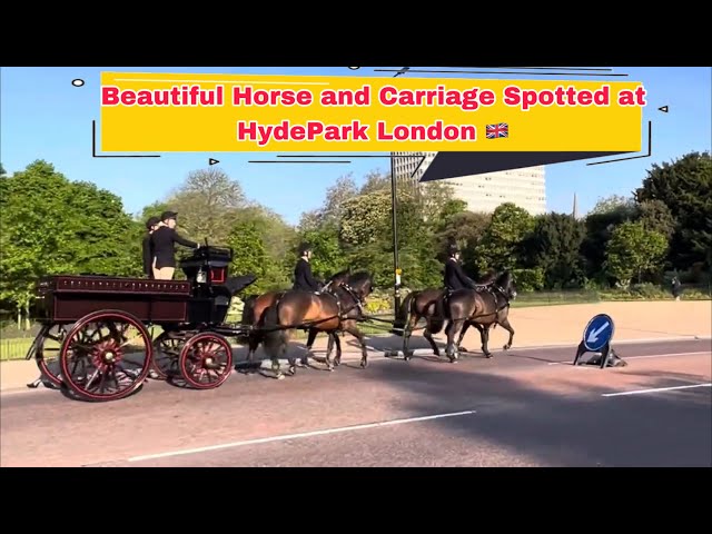 Horse And Carriage Spotted at Hyde Park London England! #kingsguard #horsecarriage
