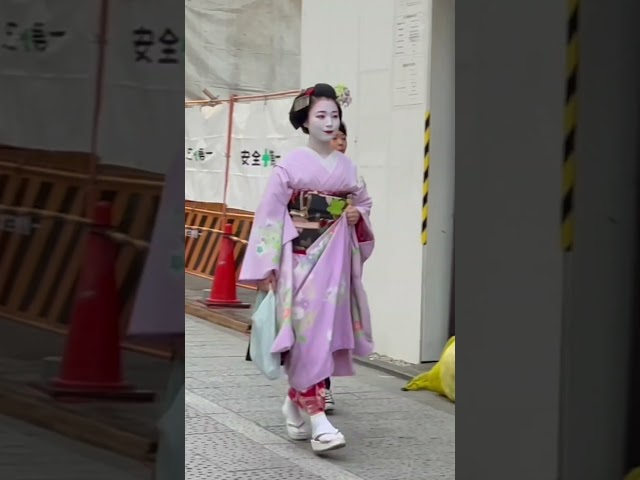 祇園花見小路の美しい舞妓さん #京都 #舞妓