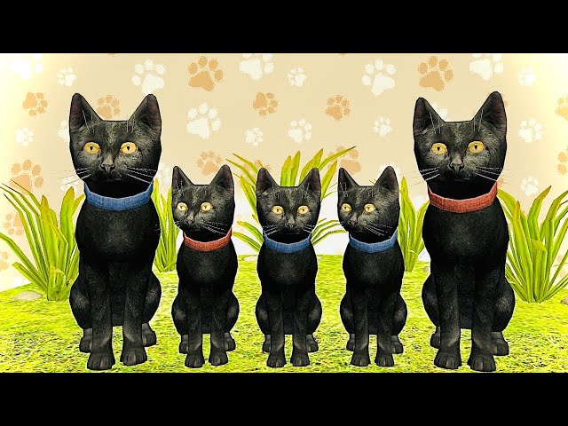 Little Cat Simulator : Kitties Family NEW Baby Adventure Games iOS - Play Fun Cute Kitten #17