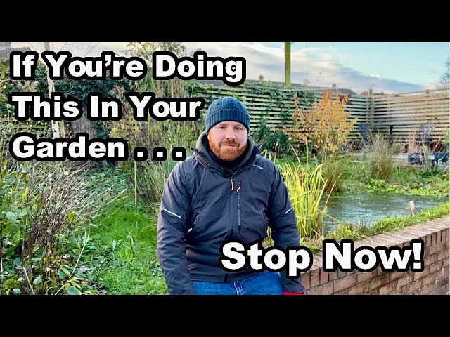 What NOT TO DO In YOUR GARDEN