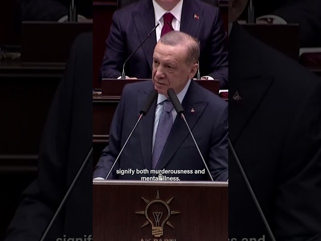 Turkish President Recep Tayyip Erdogan says Israel's attacks amount to 'mental illness'
