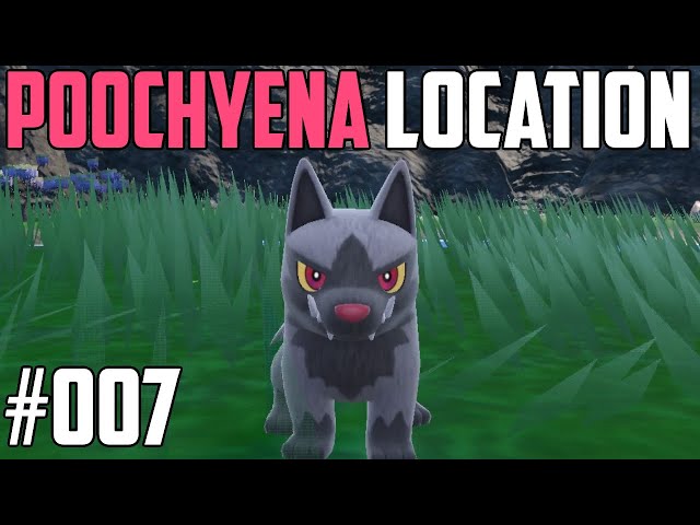 How to Catch Poochyena - Pokémon Scarlet & Violet (DLC)