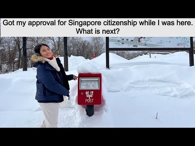 SC Journey Update Part 1- How did I get Singapore citizenship?